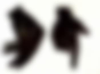 Mains (preview)