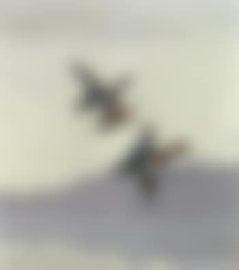 Mallards at flight (preview)