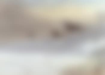 Pheasants at flight (preview)