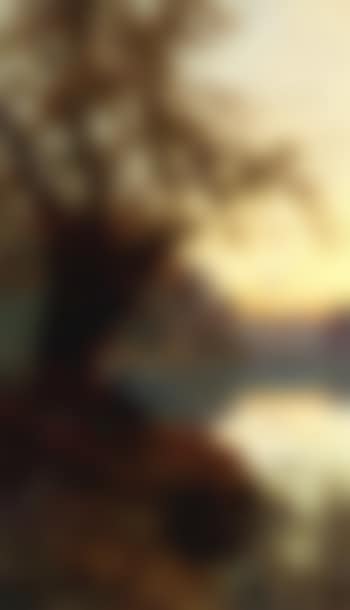 Sunrise. Evening, Burnham Birches (preview)