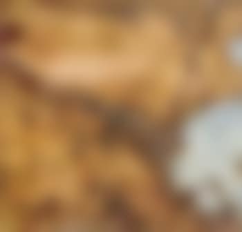 Bathurst butter II (preview)