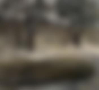 Bush landscape with dam (preview)