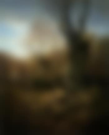 Deer in the New Forest (preview)