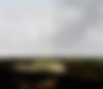 Panoramic wooded landscape in summer (preview)
