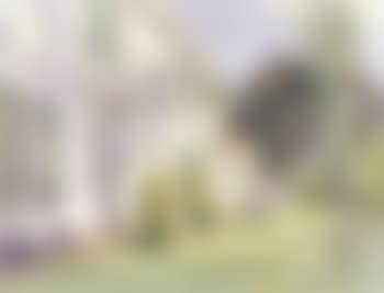 White house (preview)