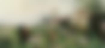 Farm landscape with hens and grey geese (preview)
