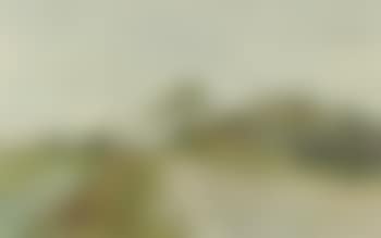 Ahrenshoop with wide sandy path, houses and gardens (preview)