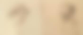 Portrait of an elderly gentleman. Portrait of a seated gentleman (preview)