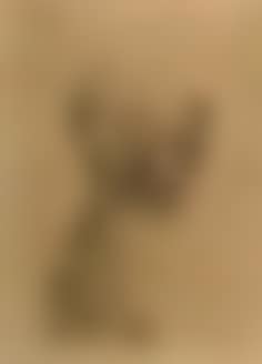 Buste h'homme, from la suite des saltimbanques (preview)