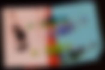 Perrier bottles (preview)