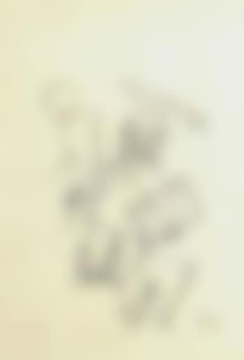 Mann (preview)