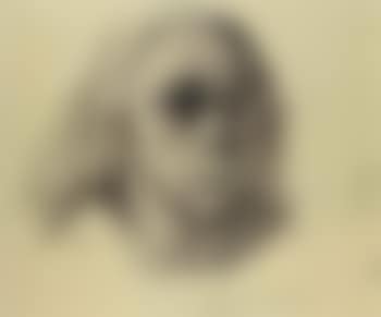 Selbstbilnis en face - Self portrait en face (preview)