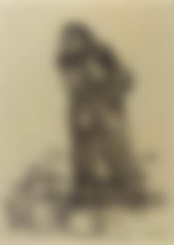 Der agitationsrendner - public speaker inciting the crowd (preview)