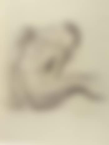 Knabenakt - young male nude (preview)