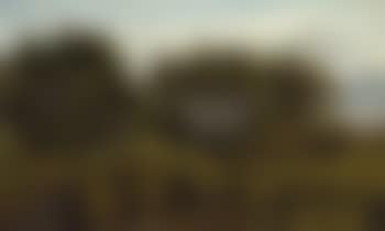 Marshy landscape with trees (preview)