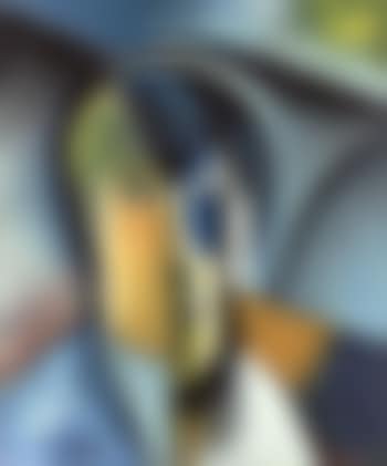 Visage - cubist portrait (preview)