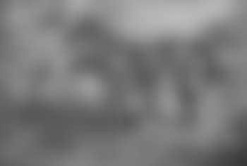 Bay mare and her foal by a tree and a river bank (preview)