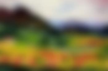 Paysage des Maures du cote du plan de la Tour (preview)