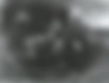 Humorous scene from soldier's life (preview)
