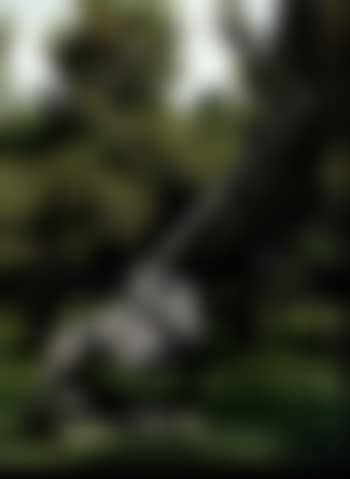 Saturno (preview)