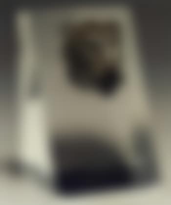 Tete de lionne (preview)