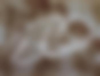 Composition (preview)