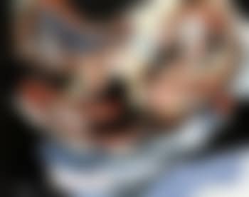 Untitled (preview)