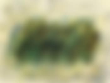 Herbages (preview)
