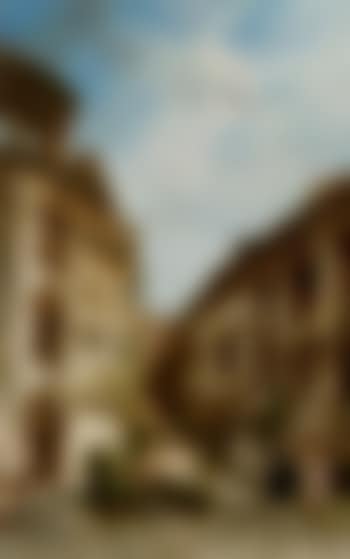 Elegant ladies in a cour carre (preview)