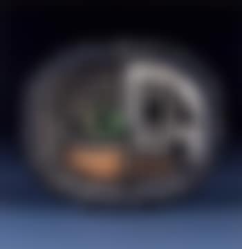 Nature morte (preview)