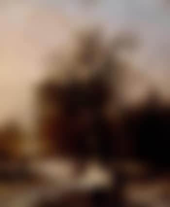Forest in winter (preview)