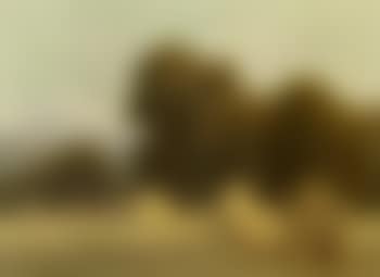 Haystacks and an August Eve in a hayfield (preview)