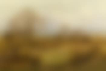 Surrey common (preview)