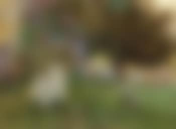 Flowers in the graveyard (preview)