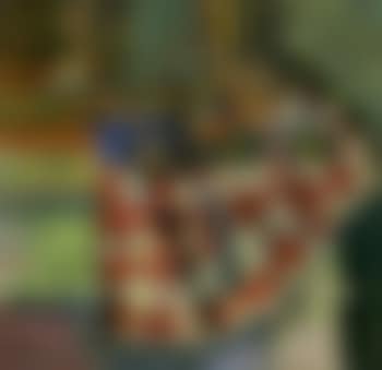 Nature morte, serviette a carreaux (preview)