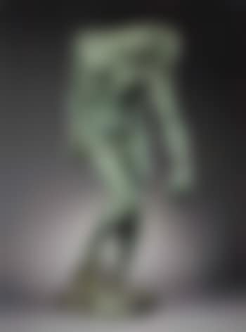 La grande ombre (preview)