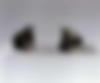 Petites grenouilles (preview)