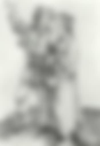 Young peasant and wife (preview)