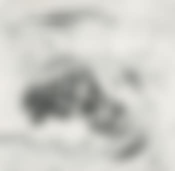 The wave II (preview)