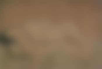 Reclining female nude (preview)