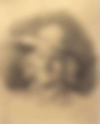 Peasant (preview)