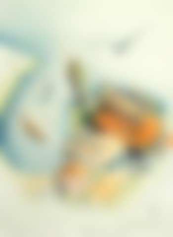 Pirano from the air (preview)