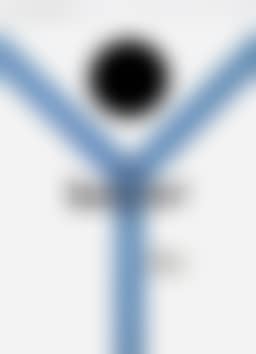 Poster sketch (preview)