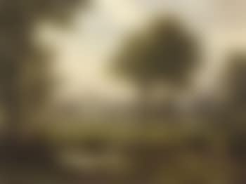 View towards Vitznauerstock (preview)