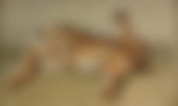 Study of a hare (preview)