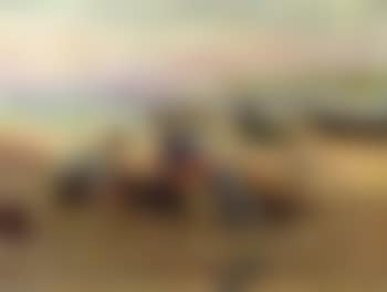 Ramasseurs e coquillages (preview)