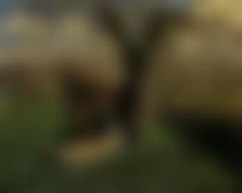 La gardeuse de vache (preview)