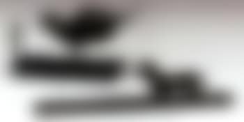 Basset sur terrasse (preview)