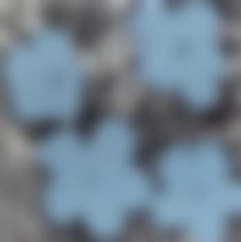 Flowers (preview)