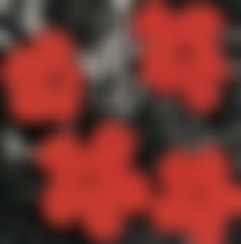 Flowers (preview)